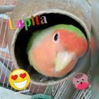 Mi Lupita 